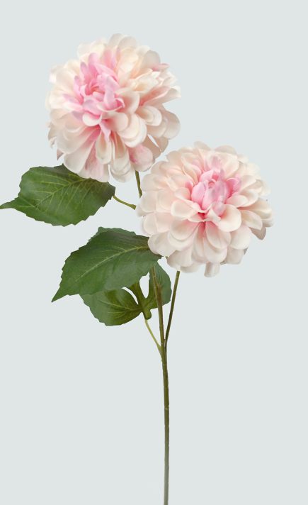 Wild Dhalia Spray 62cm