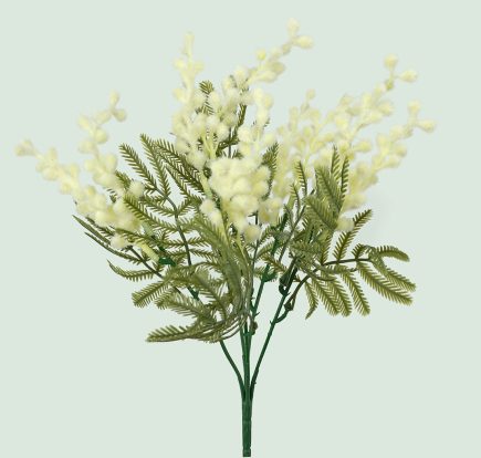 Mimosa Bush 34cm