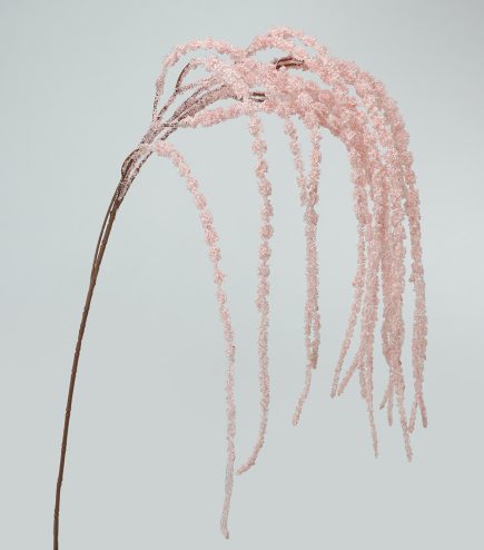 Amaranthus Spray 110cm