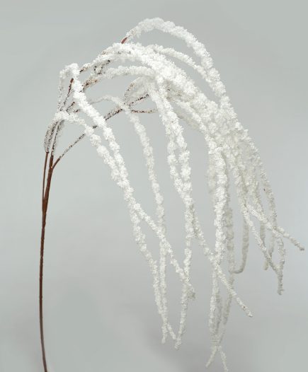 Amaranthus Spray 110cm