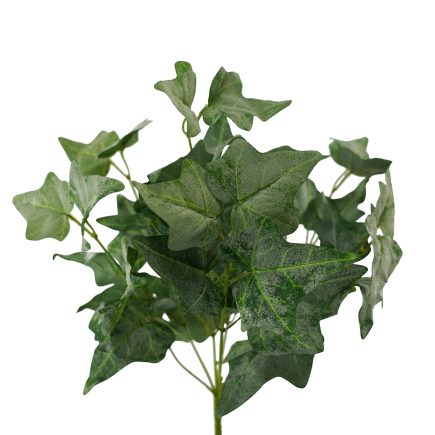Ivy Bush 40cm