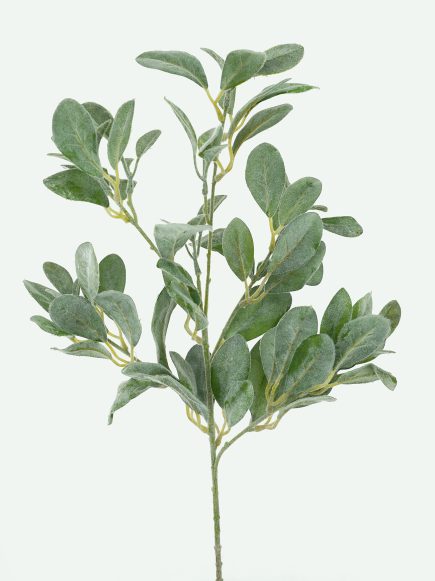 Lambs Ear Spray 82cm