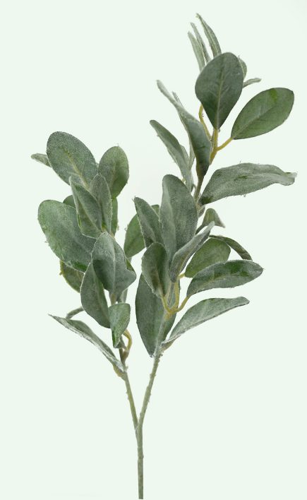 Lambs Ear Spray 78cm