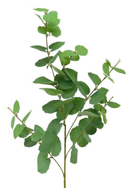 Money Leaf Spray 98cm