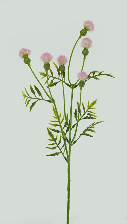 Thistle Spray 62cm