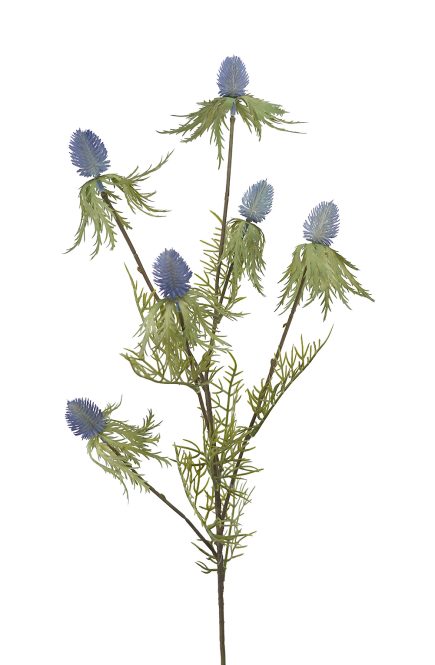 Sea Holly Spray 80cm