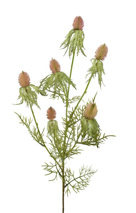 Sea Holly Spray 80cm