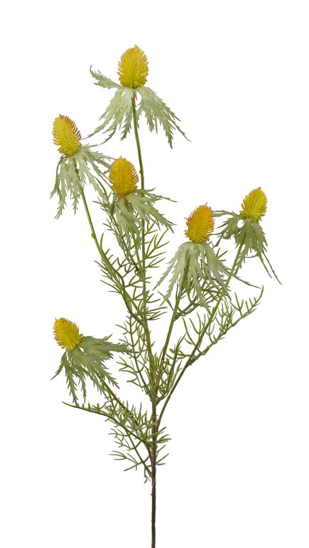 Sea Holly Spray 80cm