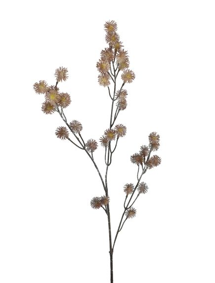 Dried Berry Spray 74cm