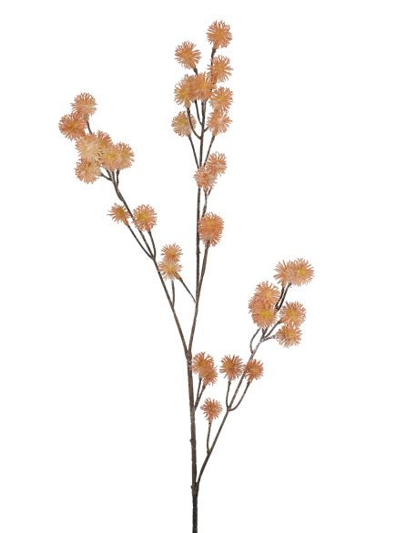 Dried Berry Spray 74cm