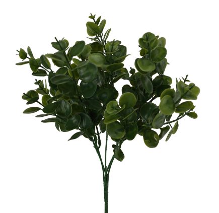 Eucalyptus Bush 30cm