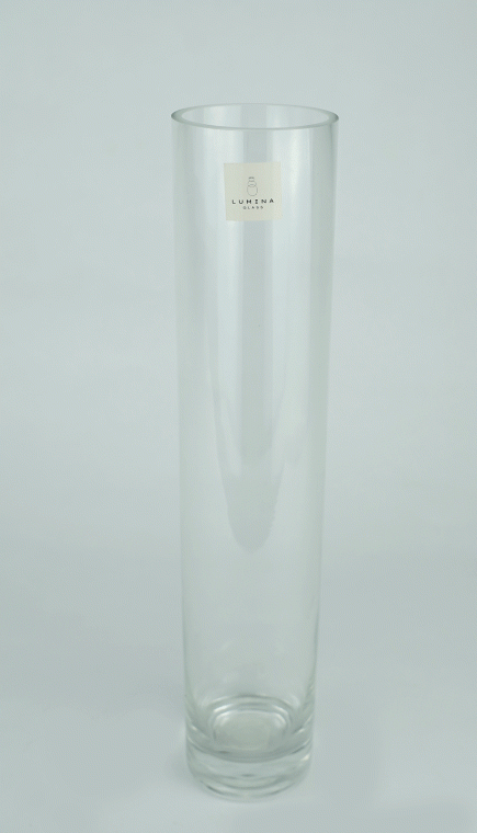Glass Vase 6Dx30cm H