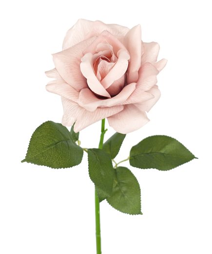 Real Touch Ecuador Rose 73cm