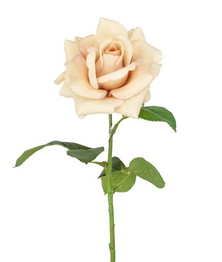 Real Touch Ecuador Rose 73cm