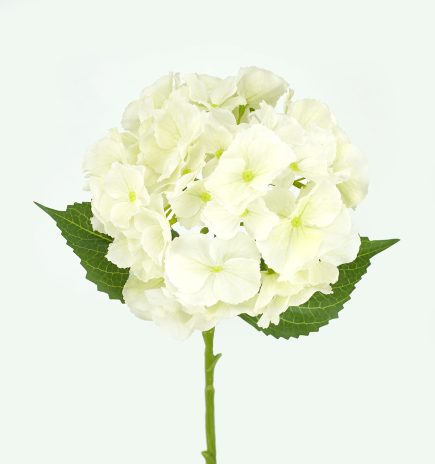 RT Hydrangea Stem 49cm