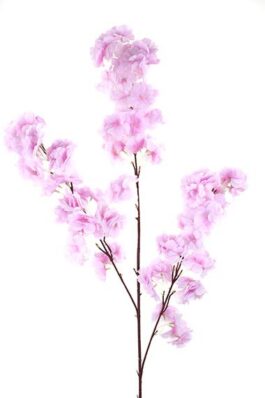 Cherry Blossom 112CM