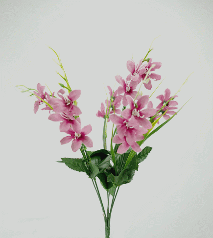 Orchid Bush 48cm