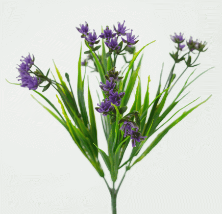 Flowering Seagrass Bush 33cm