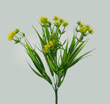 Flowering Seagrass Bush 33cm