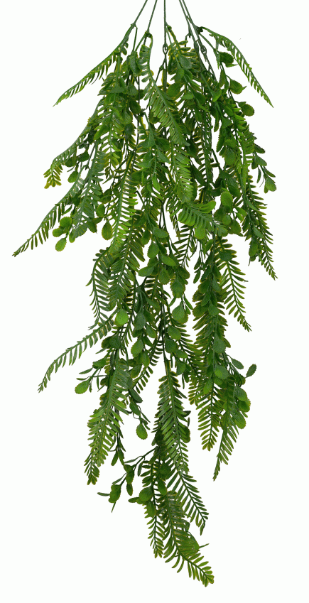 Fern Mix Hanging Bush 80cm