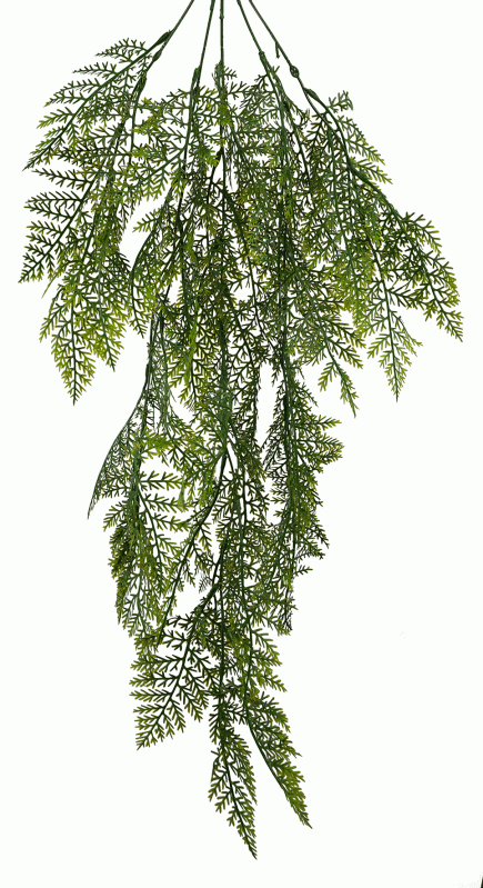 Fern Hanging Bush 80cm