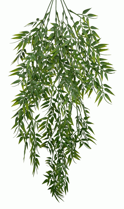 Bamboo Hanging Bush 80cm