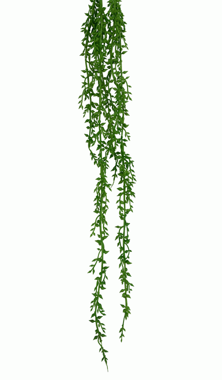 Hanging Sedum Bush 57cm