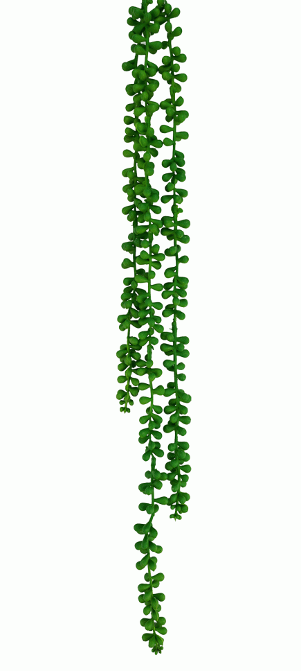 3H Hanging String of Pearls 70