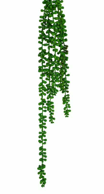 5H Hanging String of Pearls 70