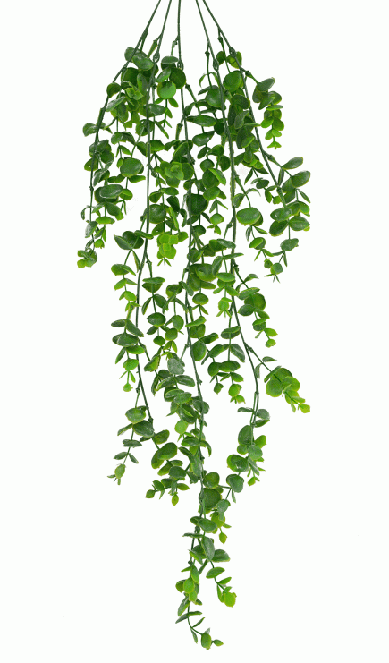 Hanging Eucalyptus Bush 77cm