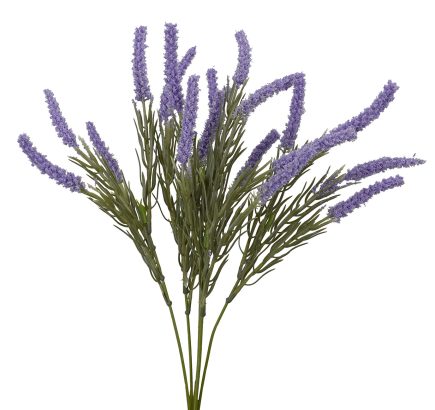 Lavender Bush 42cm