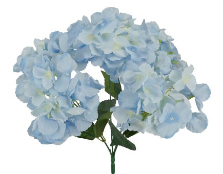 5H Hydrangea Bush 42cm