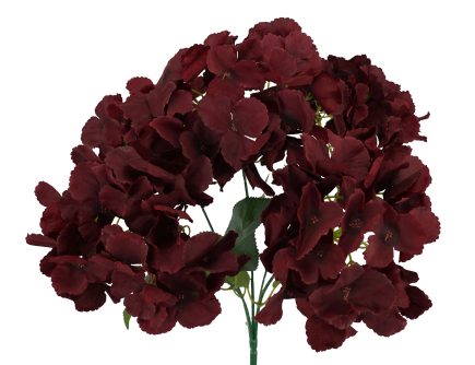 5H Hydrangea Bush 42cm