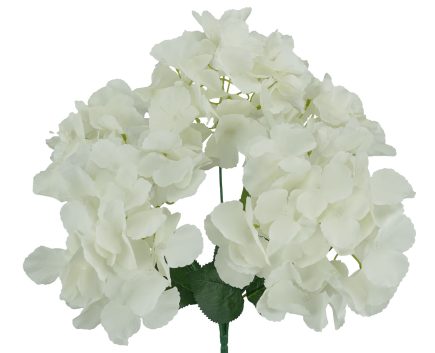 5H Hydrangea Bush 42cm