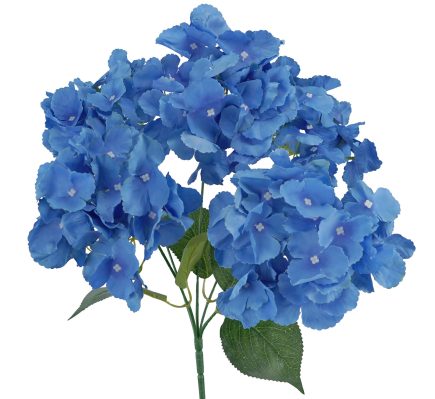 5H Hydrangea Bush 42cm