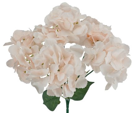 5H Hydrangea Bush 42cm