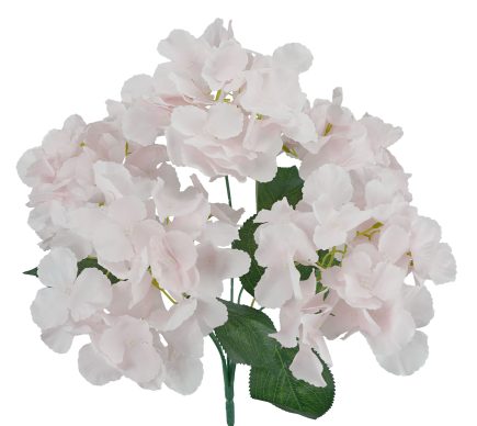 5H Hydrangea Bush 42cm