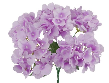 5H Hydrangea Bush 42cm