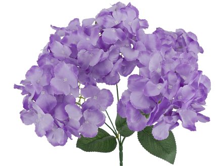 5H Hydrangea Bush 42cm