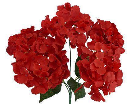 5H Hydrangea Bush 42cm