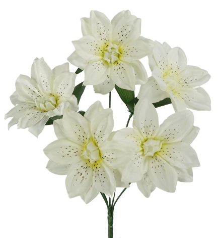 Dhalia Bush 37cm