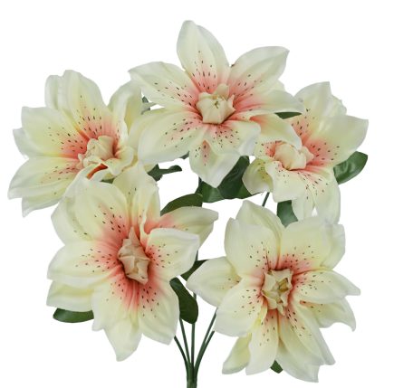 Dhalia Bush 37cm