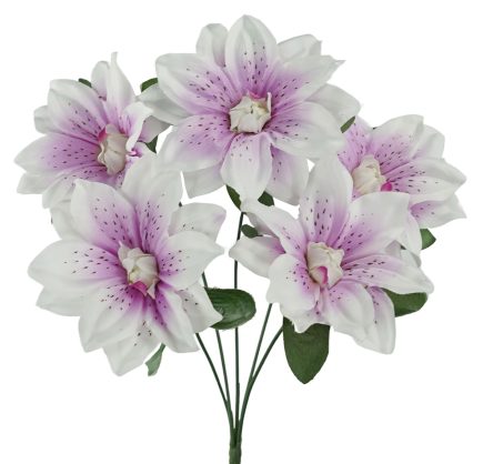 Dhalia Bush 37cm