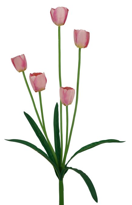 Tulip Spray 65cm