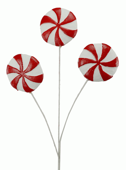 Eucalyptus Wreath 60cm